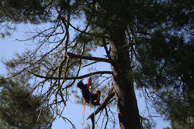 Terrarbo à Saint-Paul-le-Jeune
