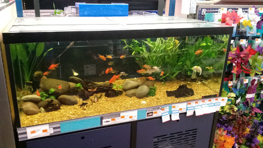 Pet Supply Store «Petco Animal Supplies», reviews and photos, 450 Hackensack Ave, Hackensack, NJ 07601, USA