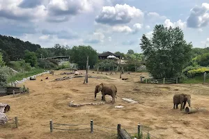 Elephant enclosure image