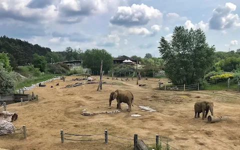 Elephant enclosure image