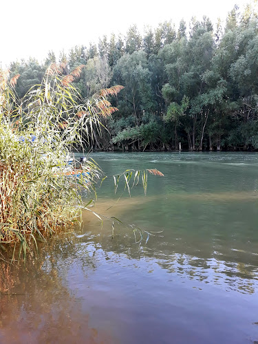 Hozzászólások és értékelések az Szabad Strand-ról