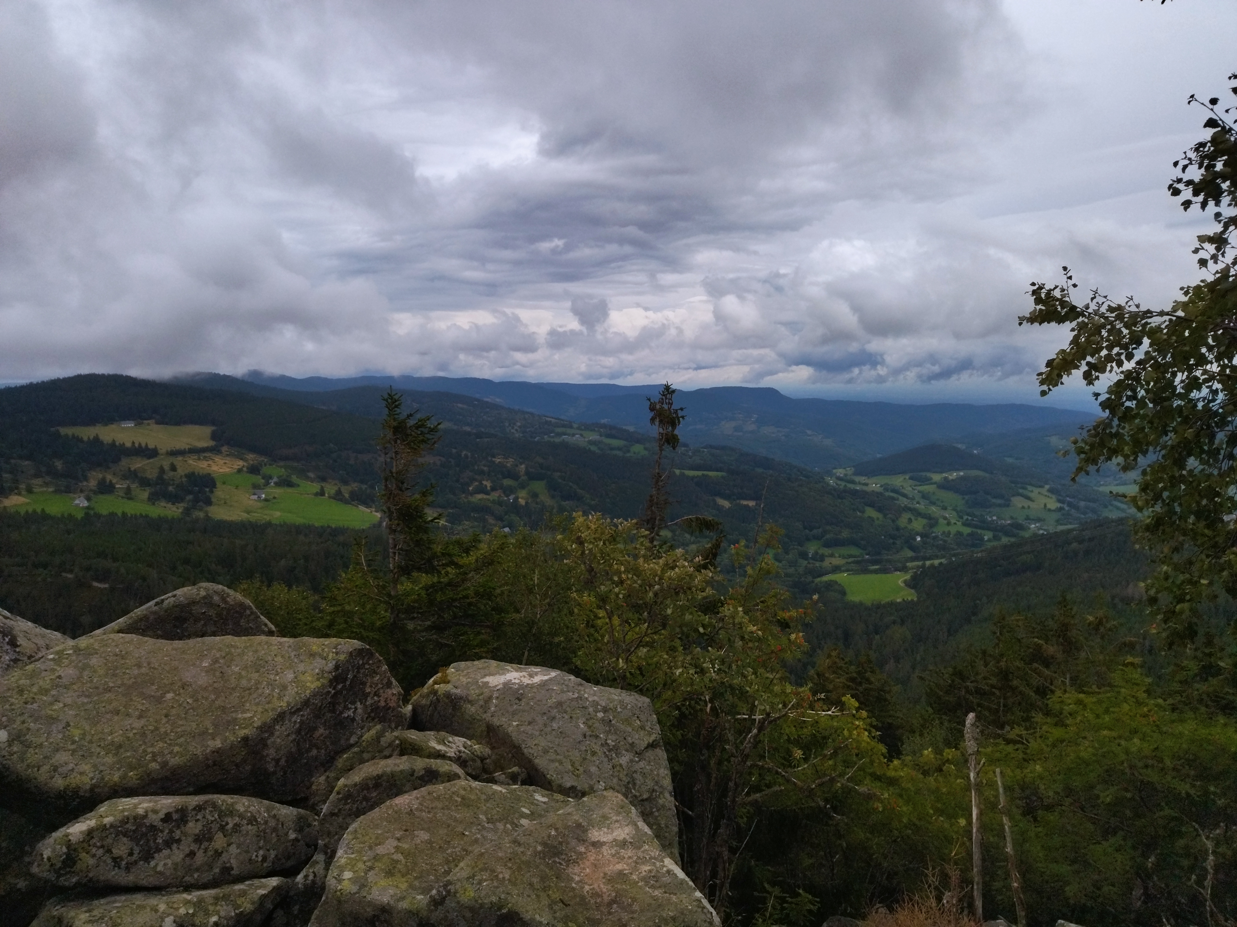 Photo n° 22 de l'avis de MM.u fait le 27/08/2023 à 14:16