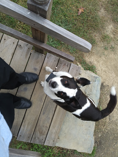 Winery «Red Heifer Winery», reviews and photos, 12840 Red Heifer Winery Lane, Smithsburg, MD 21783, USA