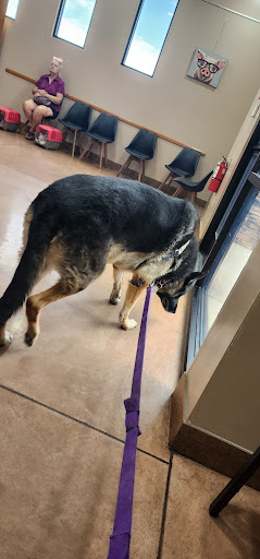 Casa Grande Animal Hospital: Mc Whirter John DVM image