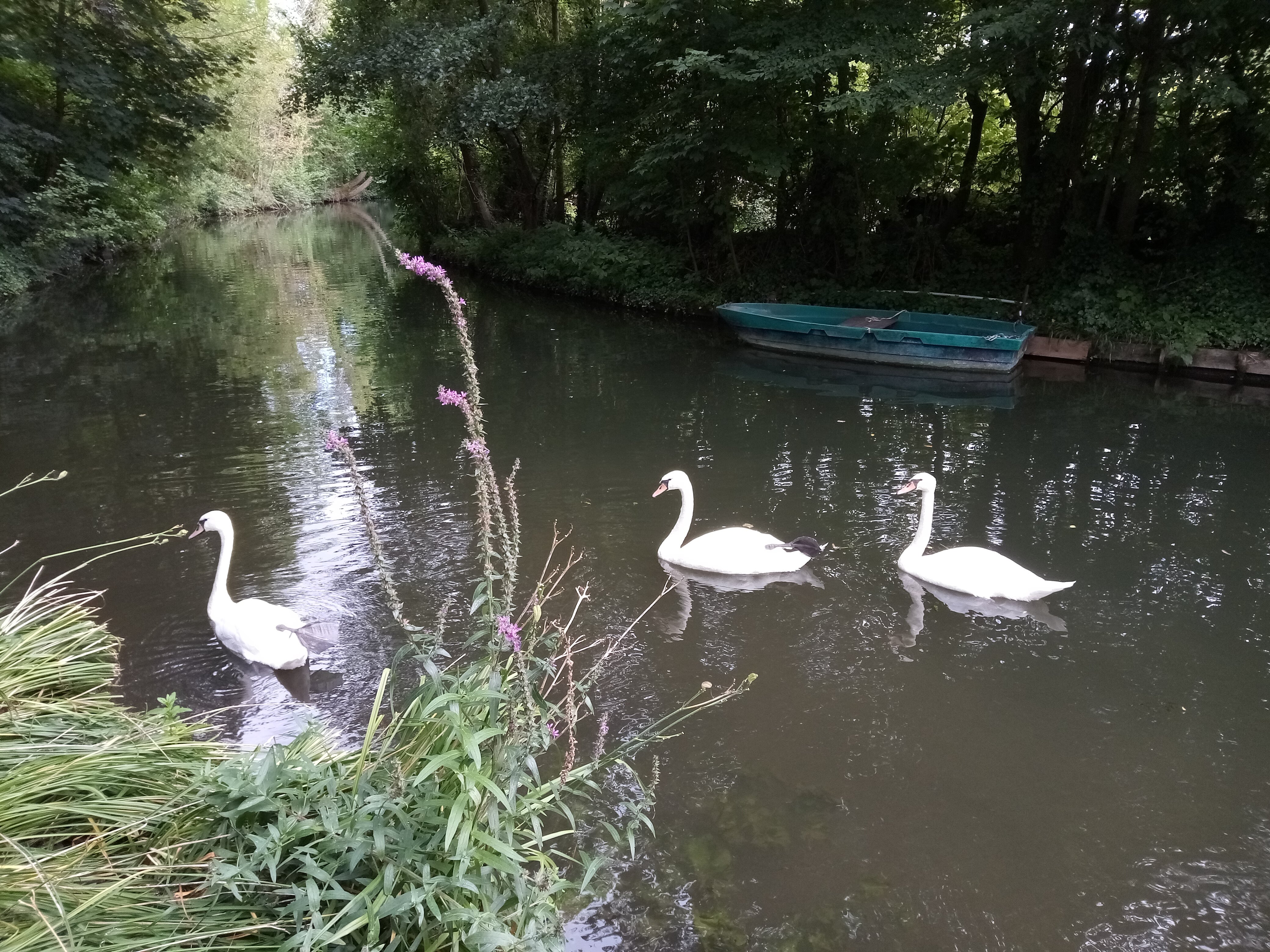 Photo n° 1 de l'avis de frederic.h fait le 16/07/2022 à 16:29