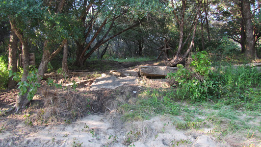 Cabin Rental Agency «Paluxy River Bed Cabins», reviews and photos, 1319 FM 205, Glen Rose, TX 76043, USA