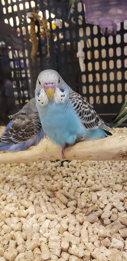 Shopping Mall «Brookside Plaza», reviews and photos, 10-38 Hazard Ave, Enfield, CT 06082, USA