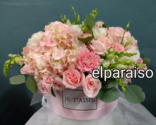 Florería el Paraíso – Cuernavaca