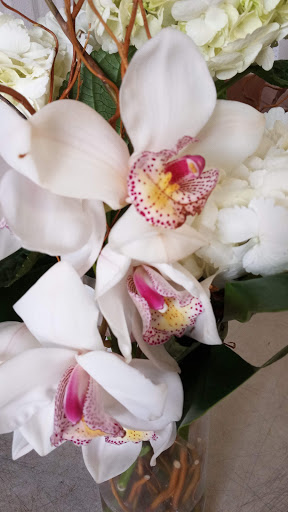 Florist «The Flower Place», reviews and photos, 860 NE 79th St, Miami, FL 33138, USA