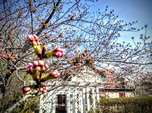 Museum «Lewis Howard Latimer House Museum», reviews and photos, 34-41 137th St, Flushing, NY 11354, USA