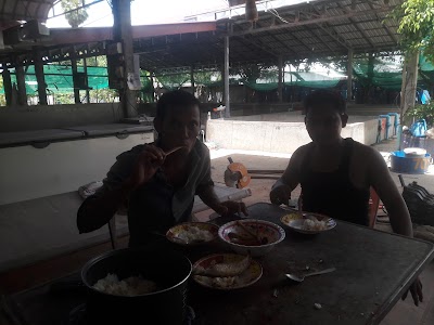 Photos of Farm
