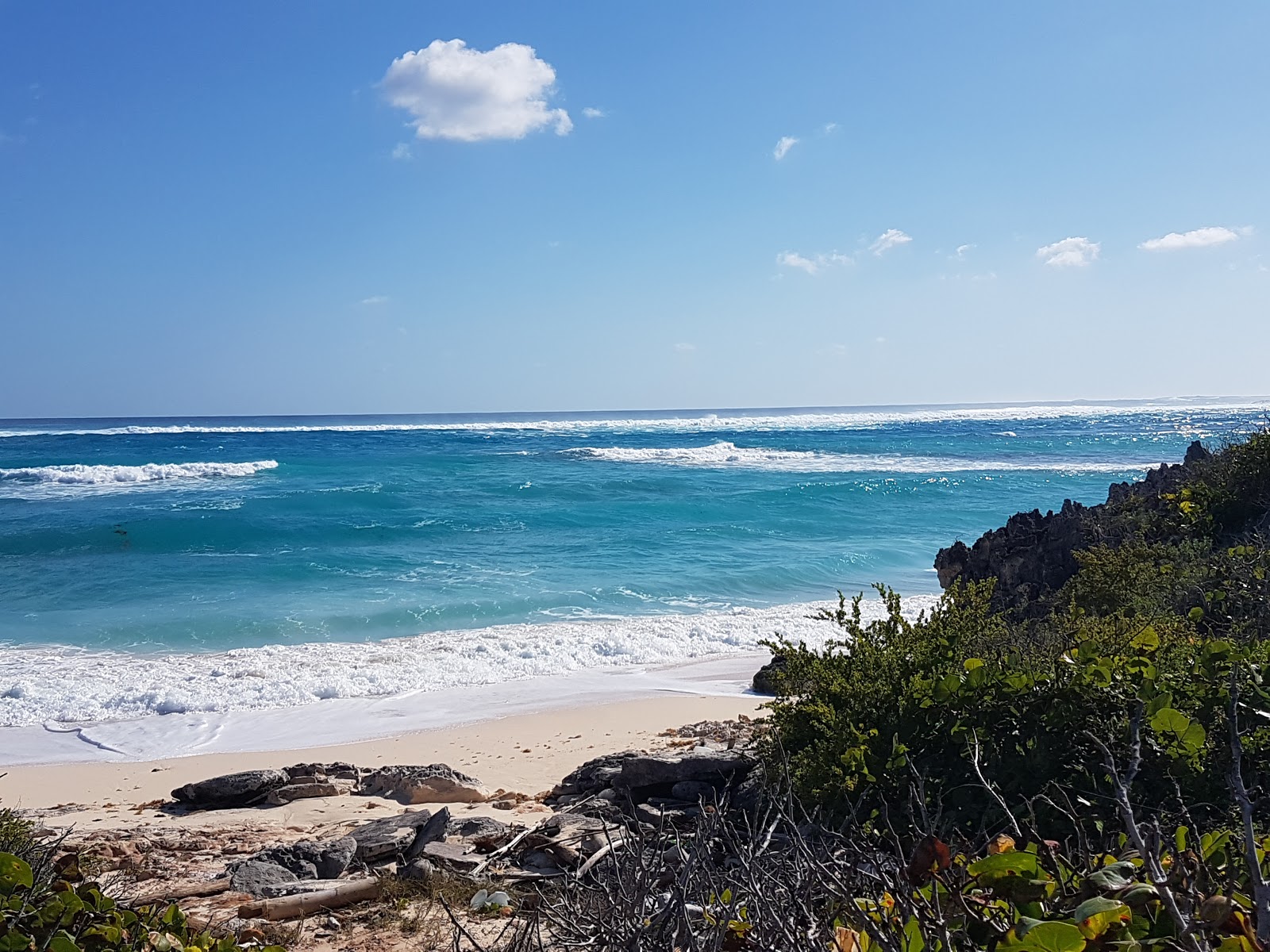Foto di Sunrise Bay beach - luogo popolare tra gli intenditori del relax