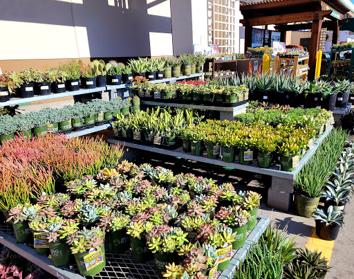 Home Improvement Store «The Home Depot», reviews and photos, 111 Shoreline Pkwy, San Rafael, CA 94901, USA