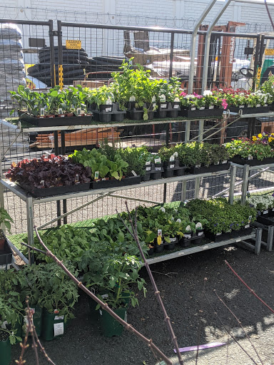 Hardware Store «Antioch Ace Hardware», reviews and photos, 501 Sunset Dr, Antioch, CA 94509, USA