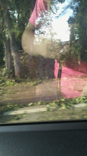 Casino «Hialeah Park», reviews and photos, 2200 E 4th Ave, Hialeah, FL 33013, USA