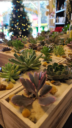 Florist «Shananne Cain Florist Inc», reviews and photos, 123 N Central Ave, Umatilla, FL 32784, USA