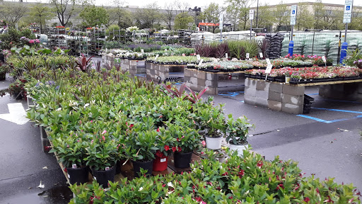 Home Improvement Store «The Home Depot», reviews and photos, 124-04 31st Ave, Queens, NY 11354, USA