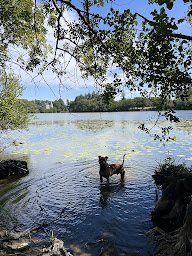 Photo n°30 de Le Domaine de La Briandais, lieu de sobriété électromagnétique à Missillac ()