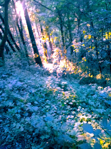 Park «Powell Butte Nature Park», reviews and photos, 16160 SE Powell Blvd, Portland, OR 97236, USA