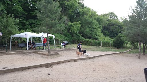 Dog Park «Forest Park Dog Run», reviews and photos, 8445 Park Ln S, Woodhaven, NY 11421, USA