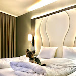 Photo n°2 de l'avis de Ekaterina.l fait le 06/04/2021 à 10:23 sur le  PLAZA Premium Parkhotel Norderstedt à Norderstedt