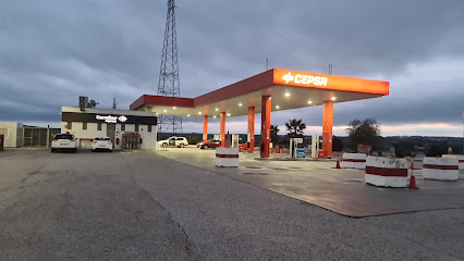 Estación de servicio Cepsa CALZADILLA DE LOS BARR - Autovía Ruta de la Plata, PK: 694, 06249 Calzadilla de los Barros, Badajoz, Spain