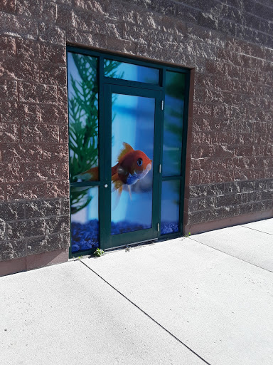 Pet Supply Store «Petco Animal Supplies», reviews and photos, 3636 Harrison Ave b, Butte, MT 59701, USA