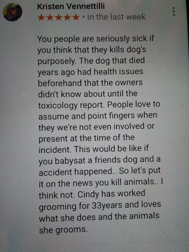 Pet Groomer «DePaw Place - Dog Grooming Salon», reviews and photos, 68771 Main St, Richmond, MI 48062, USA