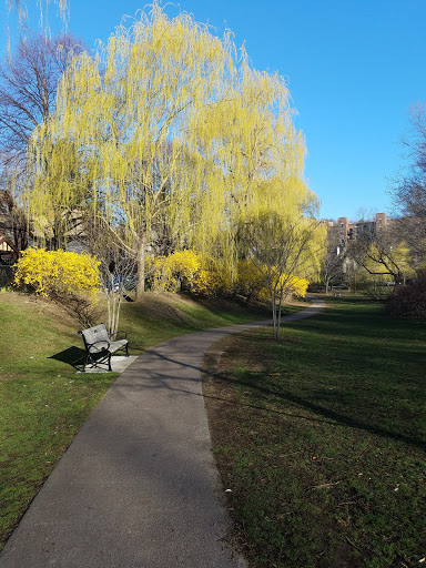 Park «Griggs Park», reviews and photos, 33 Griggs Rd, Brookline, MA 02446, USA