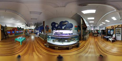Aquarium «Team ECCO Ocean Center & Aquarium», reviews and photos, 511 N Main St, Hendersonville, NC 28792, USA