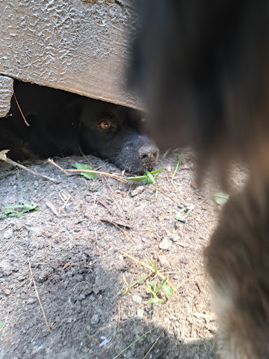 State Park «Breakheart Reservation», reviews and photos, 177 Forest St, Saugus, MA 01906, USA