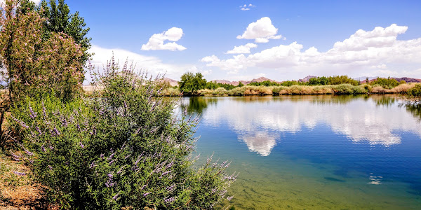 Henderson Bird Viewing Preserve