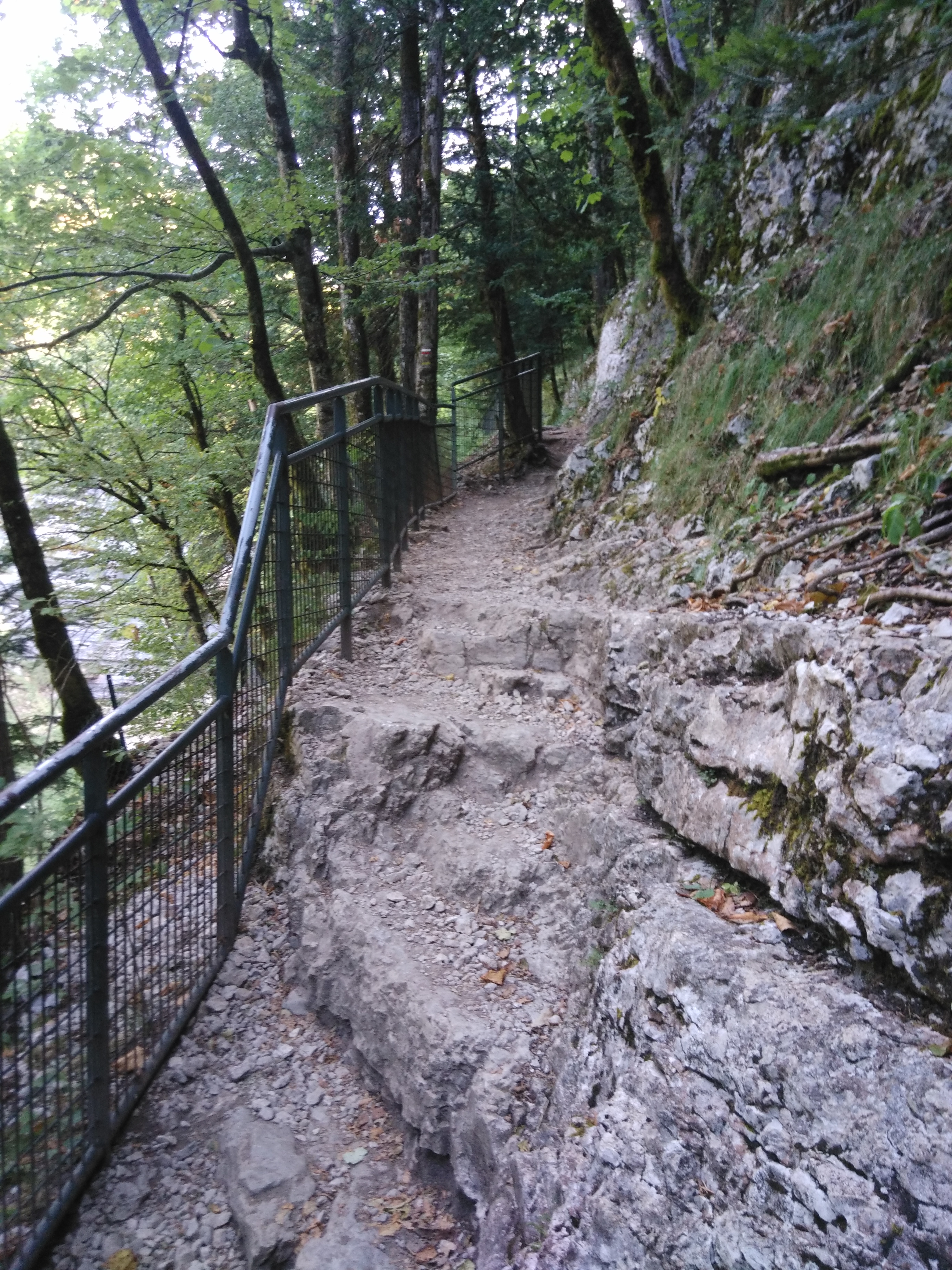Photo n° 4 de l'avis de bonsaï.a fait le 31/07/2018 à 14:12