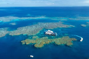 Sunlover Reef Cruises image