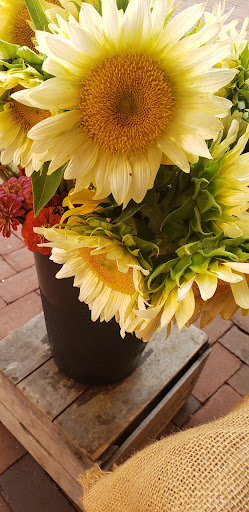 Gourmet Grocery Store «Eastern Market», reviews and photos, 225 7th St SE, Washington, DC 20003, USA