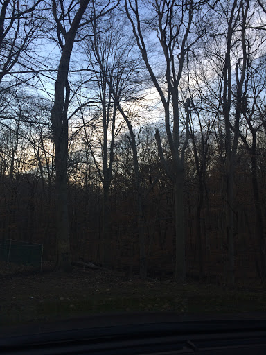 Movie Theater «Beltway Movies», reviews and photos, 7660 Belair Rd, Nottingham, MD 21236, USA