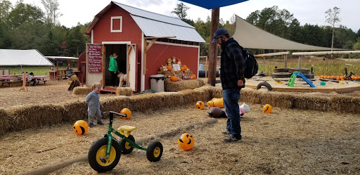 Christmas Tree Farm «Sleepy Hollow Farm & Escape Woods», reviews and photos, 628 Sleepy Hollow Rd, Powder Springs, GA 30127, USA