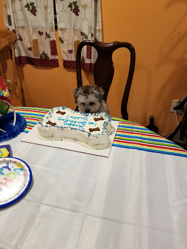 Pet Supply Store «Fuzzybutz Pet Bakery Inc», reviews and photos, 306 State St, St Joseph, MI 49085, USA