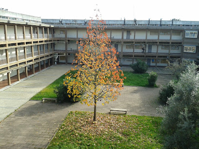 Instituto Politécnico