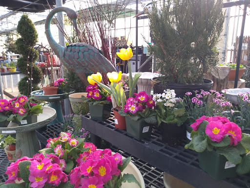 Greenhouse «Wentworth Greenhouses», reviews and photos, 141 Rollins Rd, Rollinsford, NH 03869, USA