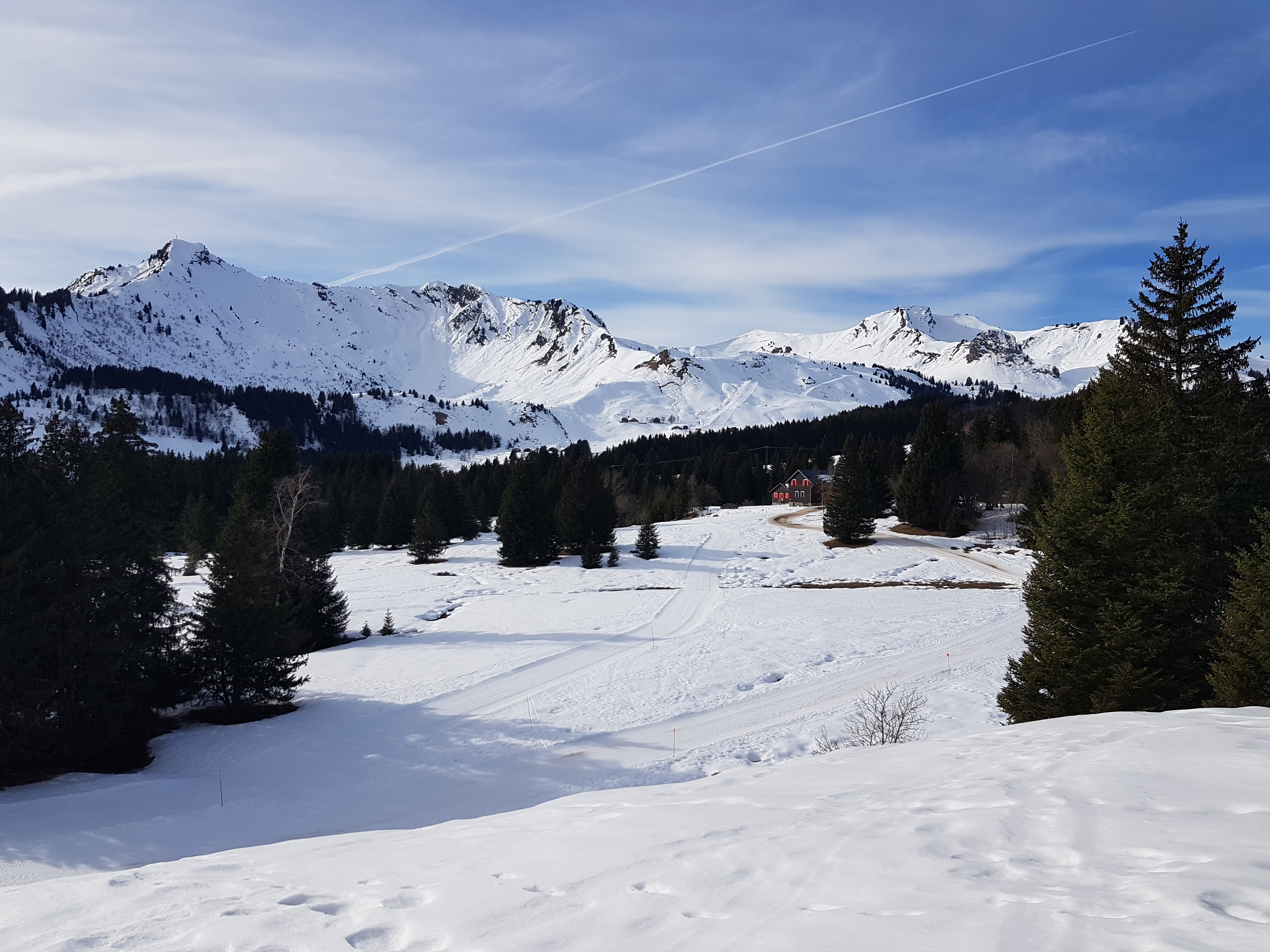 Photo n° 15 de l'avis de Marc.y fait le 31/01/2024 à 11:07