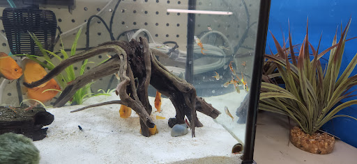 Pet Supply Store «Pet Supermarket», reviews and photos, 2111 N Federal Hwy, Hollywood, FL 33020, USA