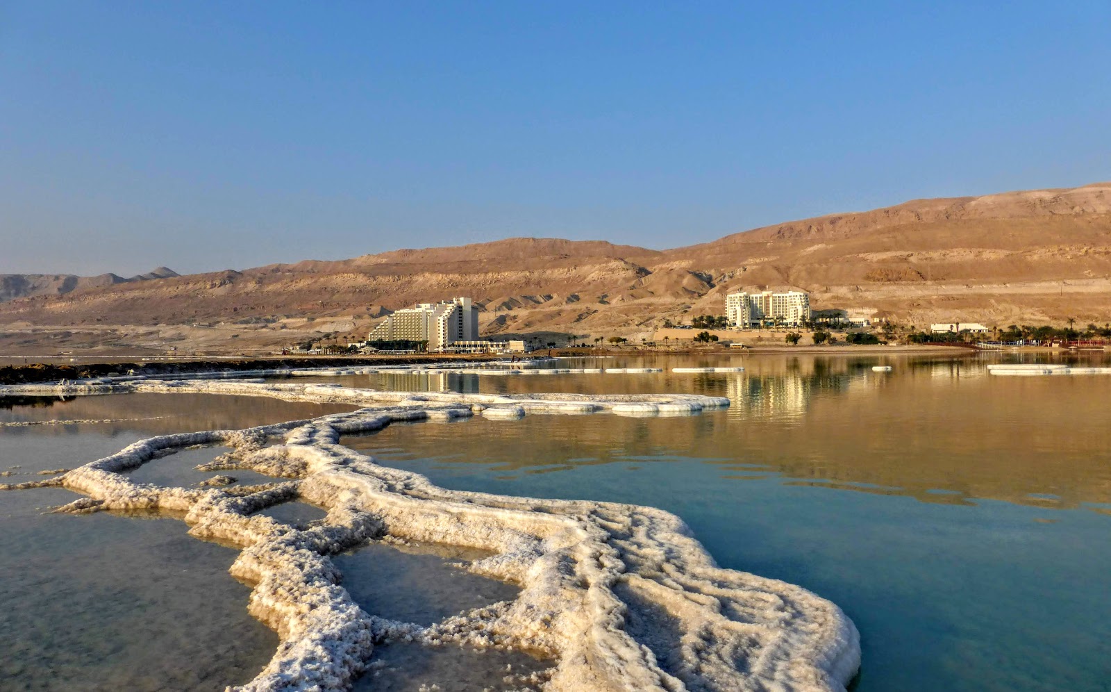 Foto de Dead Sea Beach respaldado por acantilados