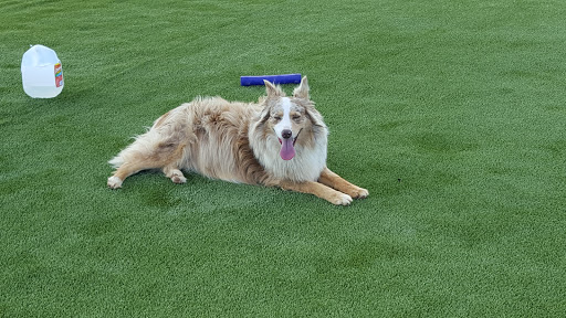 Pet Boarding Service «Creature Comforts», reviews and photos, 1600 W Cotton St, Longview, TX 75604, USA