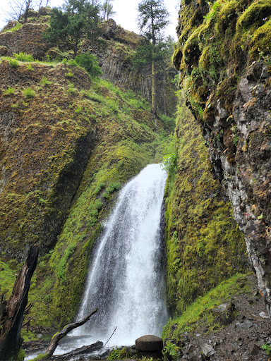 Tourist Attraction «Wahkeena Falls», reviews and photos, Wahkeena Trail #420, Corbett, OR 97019, USA