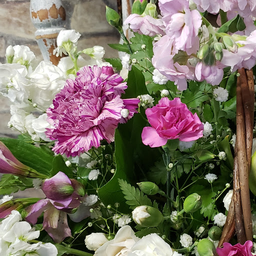 Florist «Carrolls Florist of Beverly», reviews and photos, 385 Cabot St, Beverly, MA 01915, USA