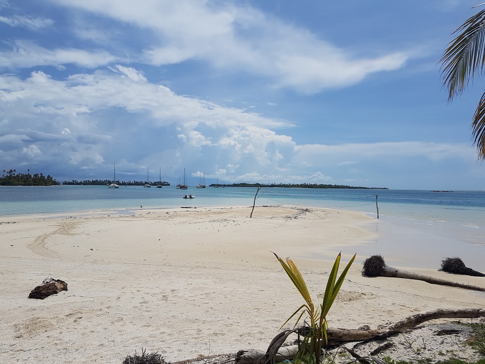 Foto de Turtle Island beach com alto nível de limpeza