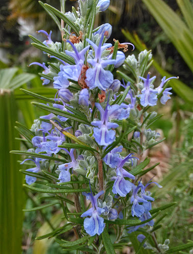 Park «Mt. Scott Park», reviews and photos, SE 72nd Ave & Southeast Harold Street, Portland, OR 97206, USA