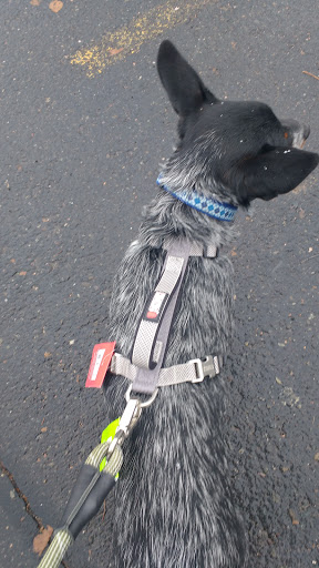 Pet Supply Store «PetSmart», reviews and photos, 1403 E Washington Ave, Union Gap, WA 98903, USA