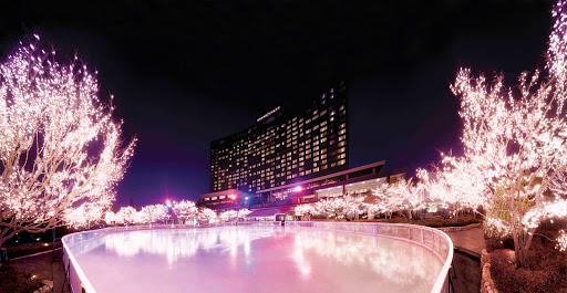 Grand Hyatt Seoul Ice Rink